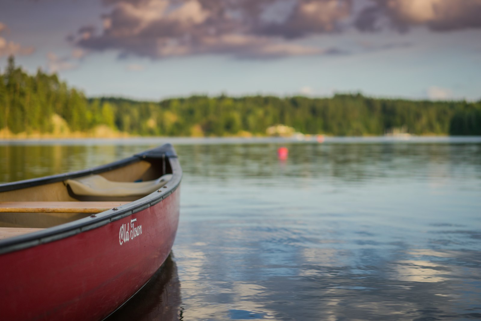 A wooden dugout canoe on a calm river at first light