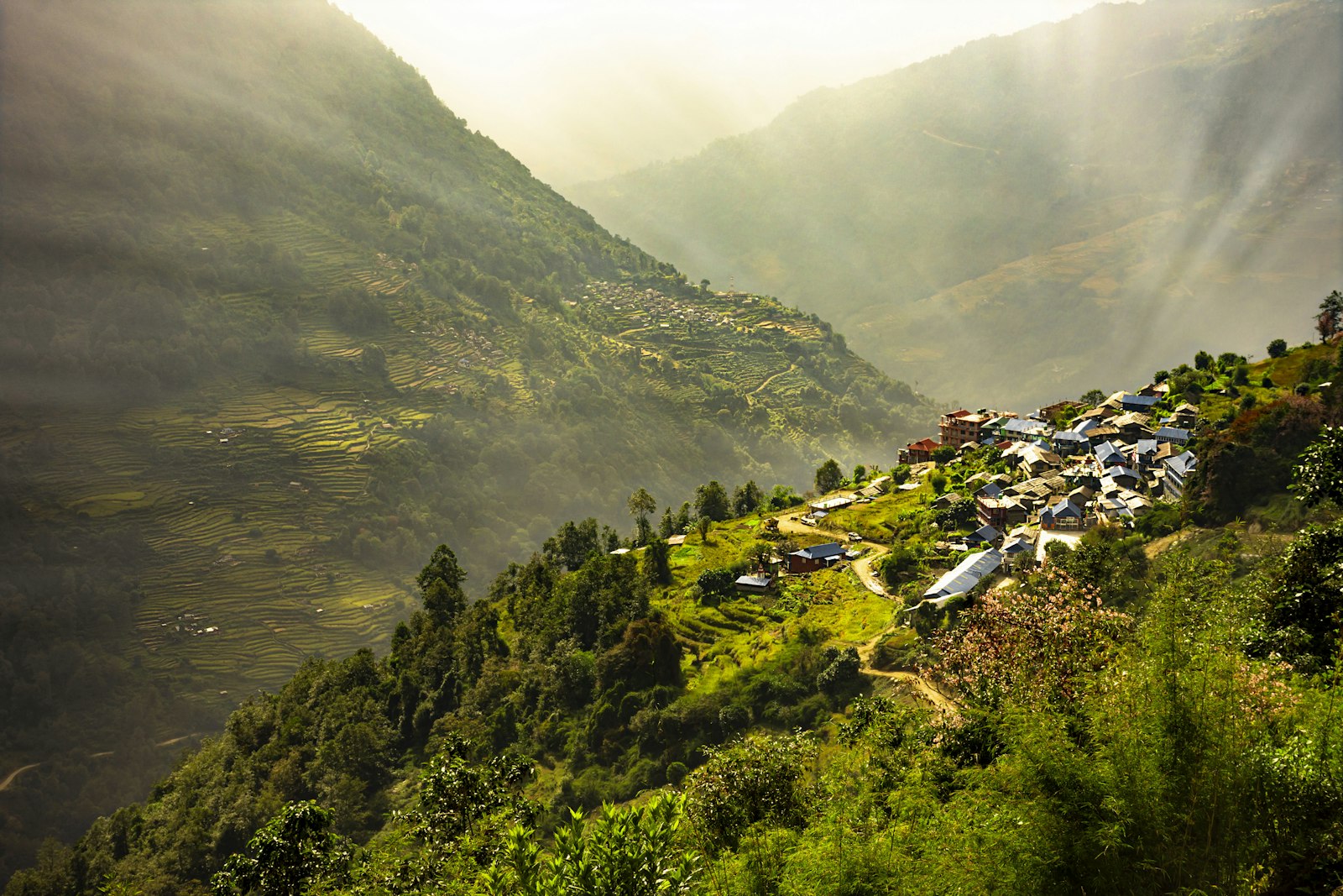 A small terraced hill village catching morning light in a remote green Himalayan valley, Nepal