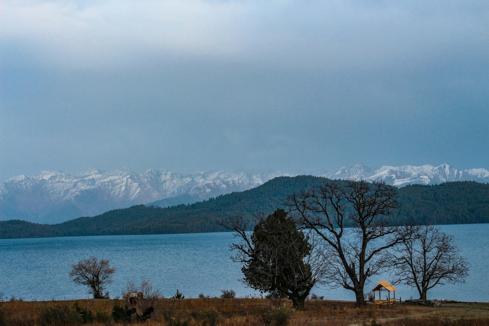 Rara Lake, Nepal's largest, with bare shore trees and snow-dusted ranges across still water