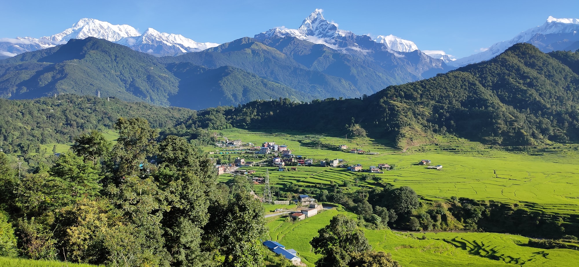 Green Himalayan valley framed by high snow-streaked peaks in the Langtang region, Nepal