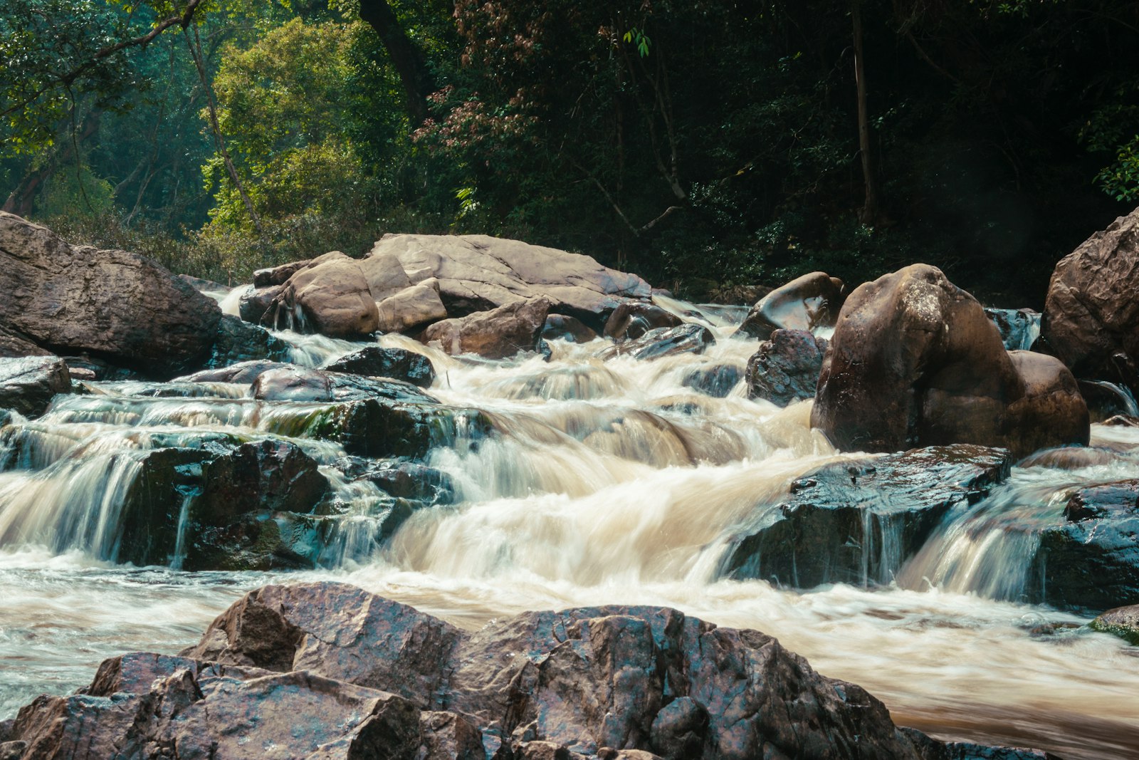 A quiet jungle river winding through dense green riverine forest