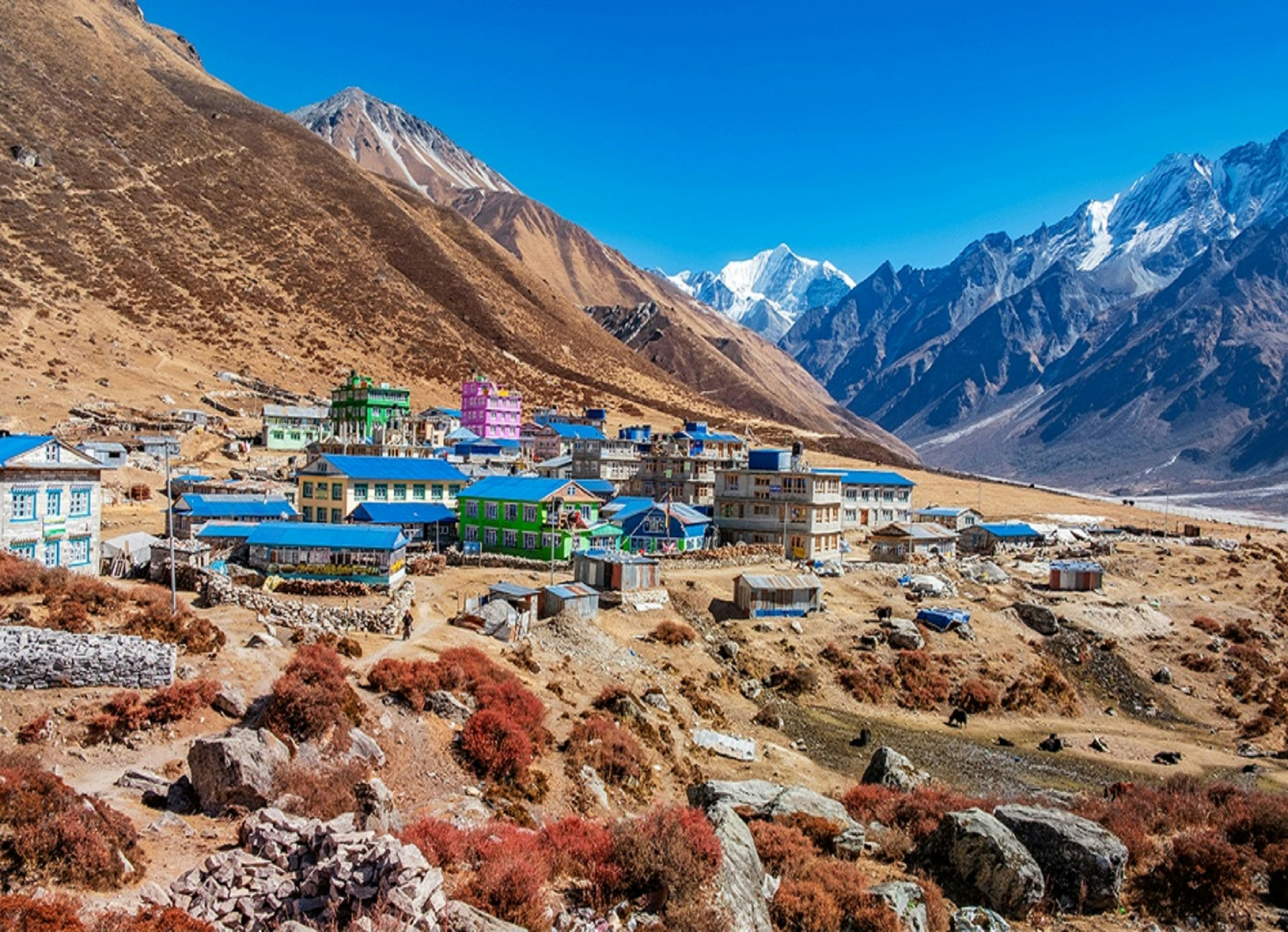 A Tamang village and monastery in the green Langtang valley, peaks of the Langtang range behind, Nepal
