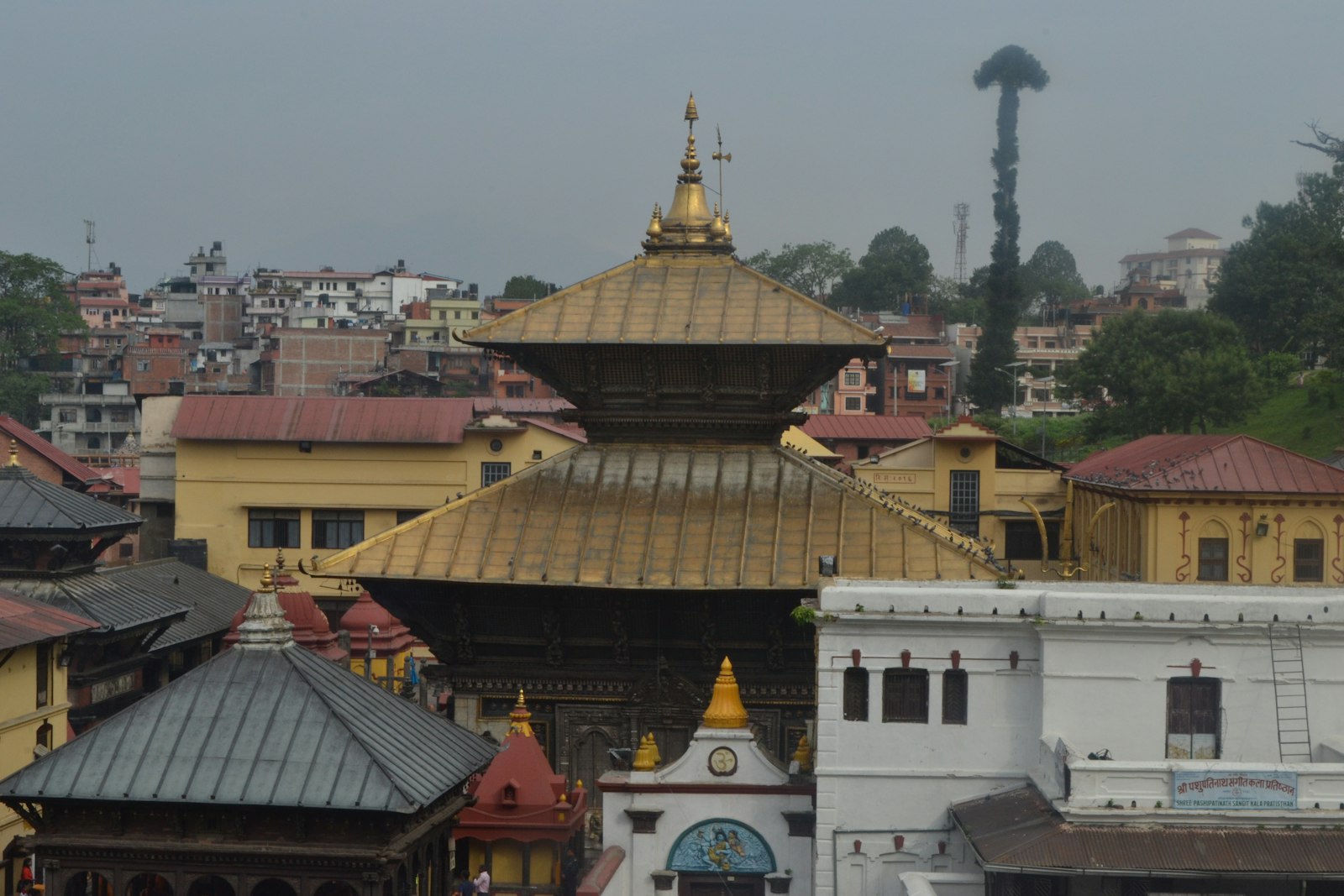 The golden pagoda roof of Pashupatinath temple rising above the rooftops of Kathmandu