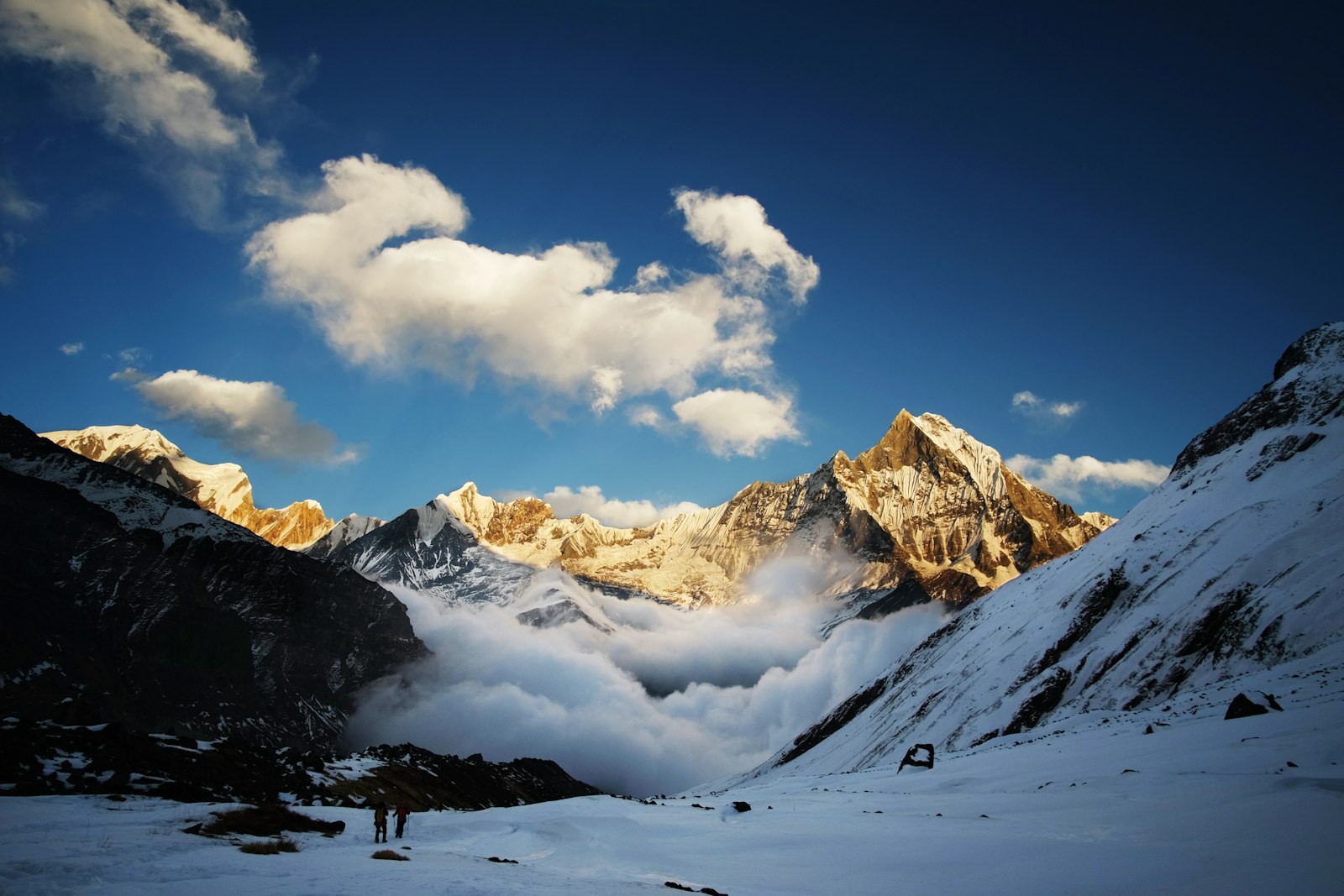 The Annapurna Sanctuary amphitheatre at dawn, golden-lit peaks above a sea of cloud, Nepal