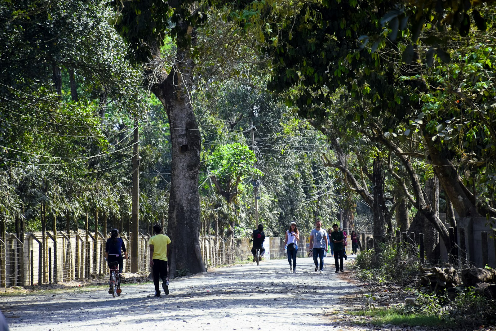 A group of people walking down a dirt road through the Chitwan countryside, Nepal