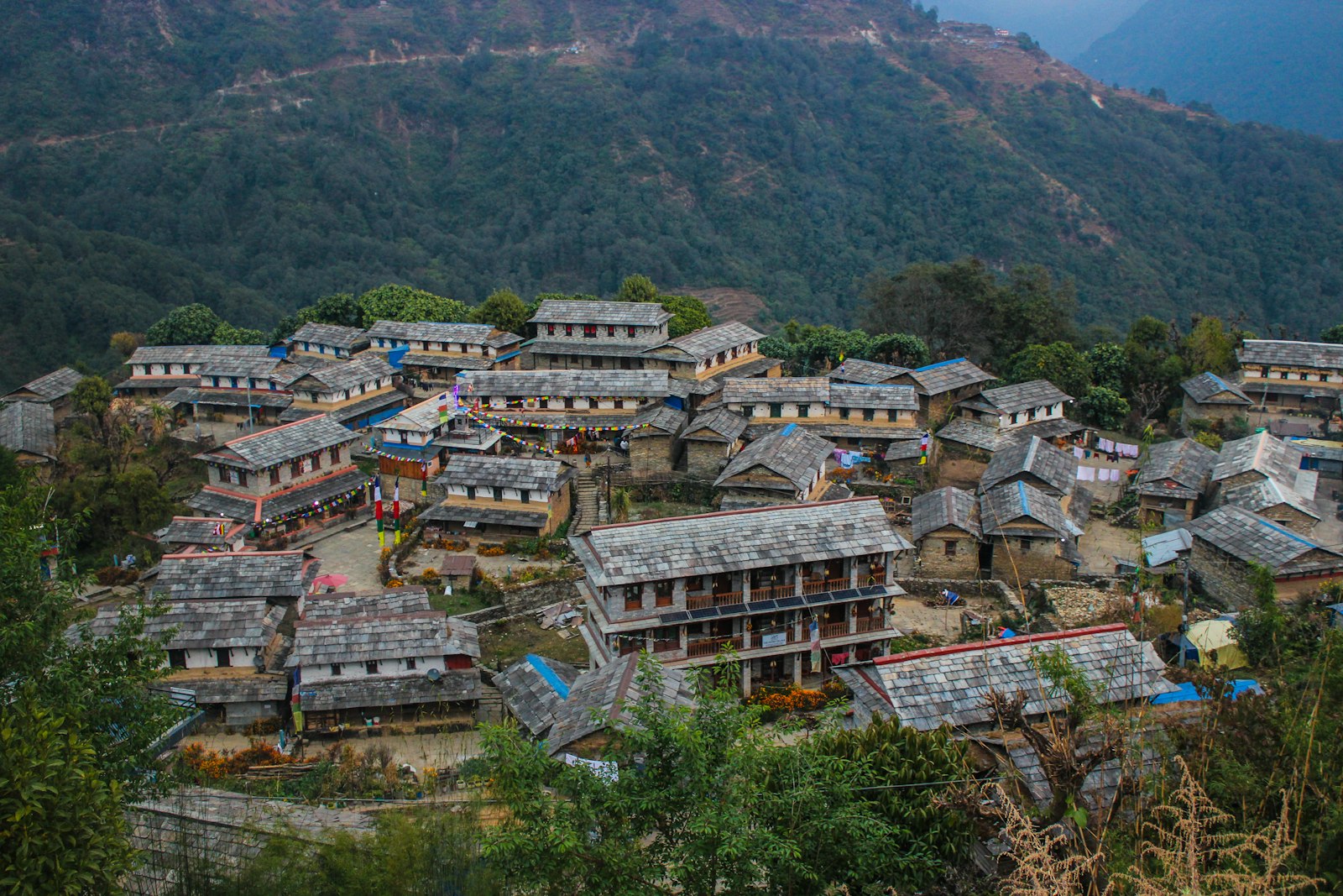 Stone Gurung houses of Ghandruk village, Annapurna region, Nepal